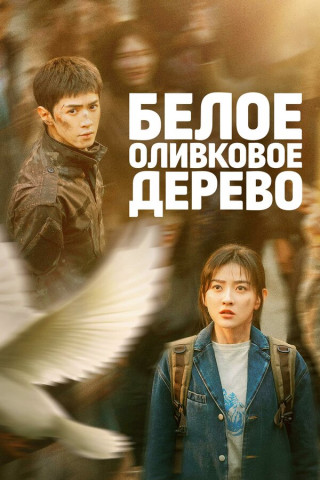 Белое оливковое дерево / Bai se gan lan shu / The White Olive Tree [S01] (2025) WEB-DL | P