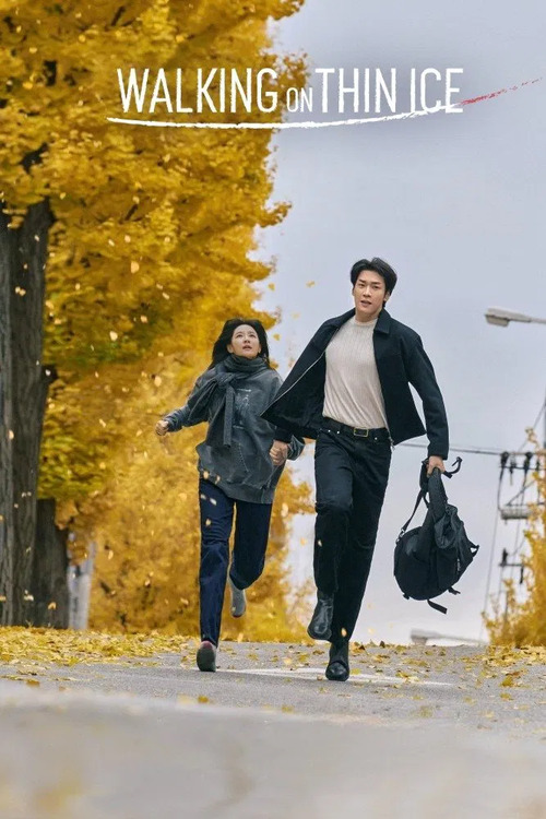 По тонкому льду / Eunsu joeun nal / Walking on Thin Ice [S01] (2025) WEB-DL | L | LE-Production