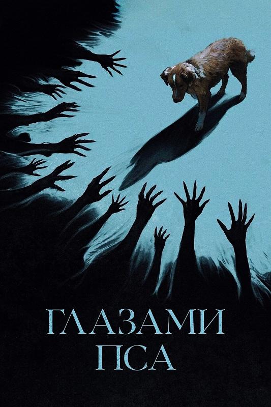 Глазами пса / Good Boy (2025) BDRip 720p от DoMiNo & селезень | D, P | Мосфильм-Мастер, HDRezka Studio