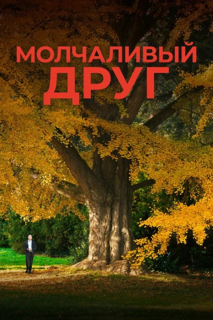 Молчаливый друг / Stille Freundin / Silent Friend (2025) WEB-DLRip от New-Team | D | Невафильм