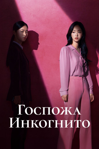 Госпожа Инкогнито / Jakhan yeoja Bu Semi / Ms. Incognito [S01] (2025) WEB-DL | P